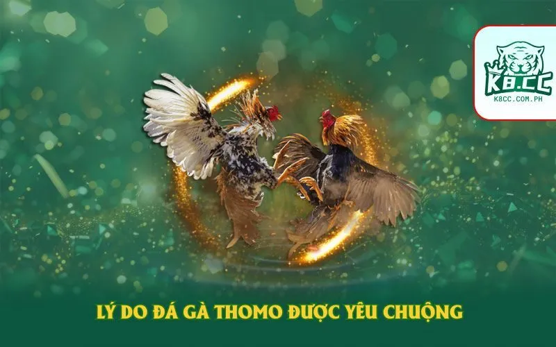 ly-do-da-ga-thomo-duoc-yeu-chuong